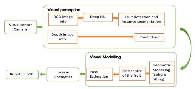 Fruit Plucking Robot architecture