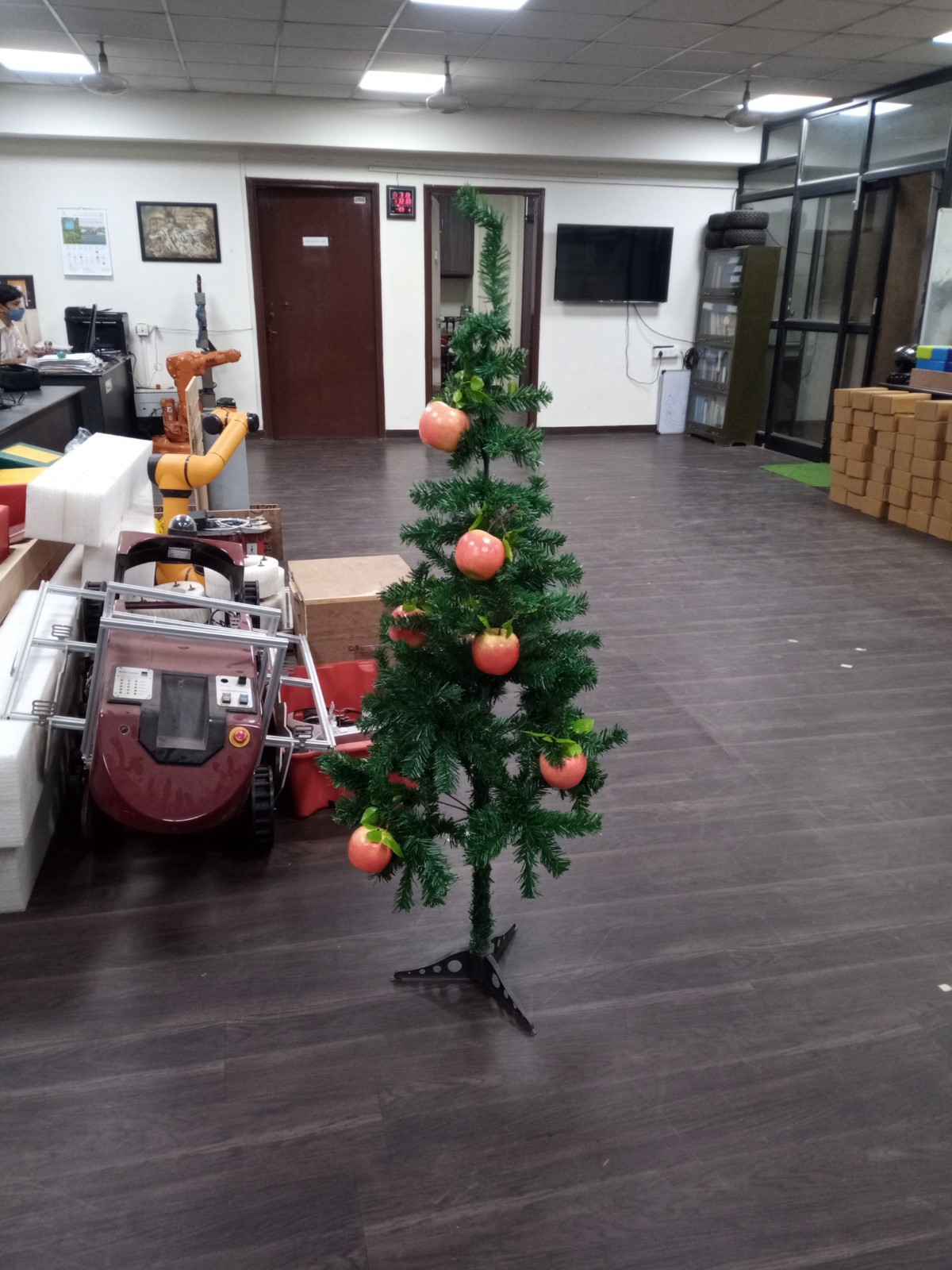 Mask R-CNN raw image